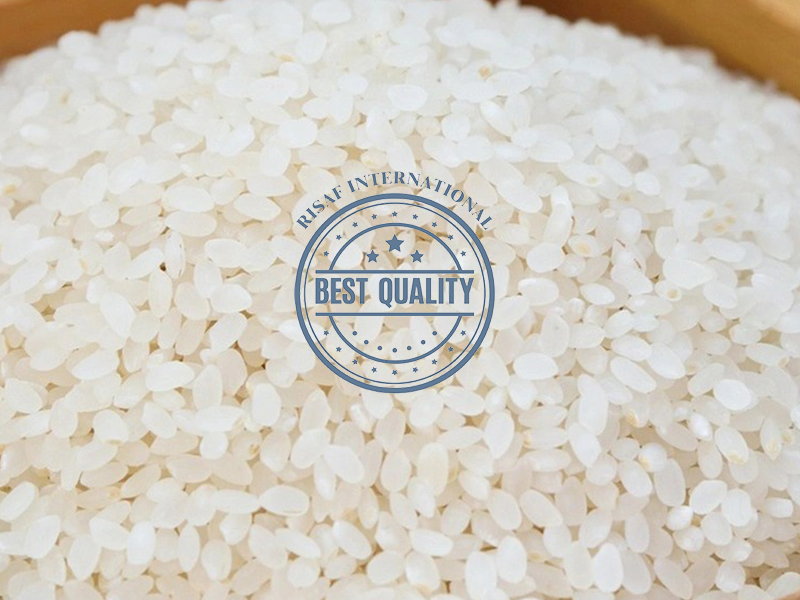 Basmati Rice